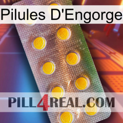 Engorge Pills new11